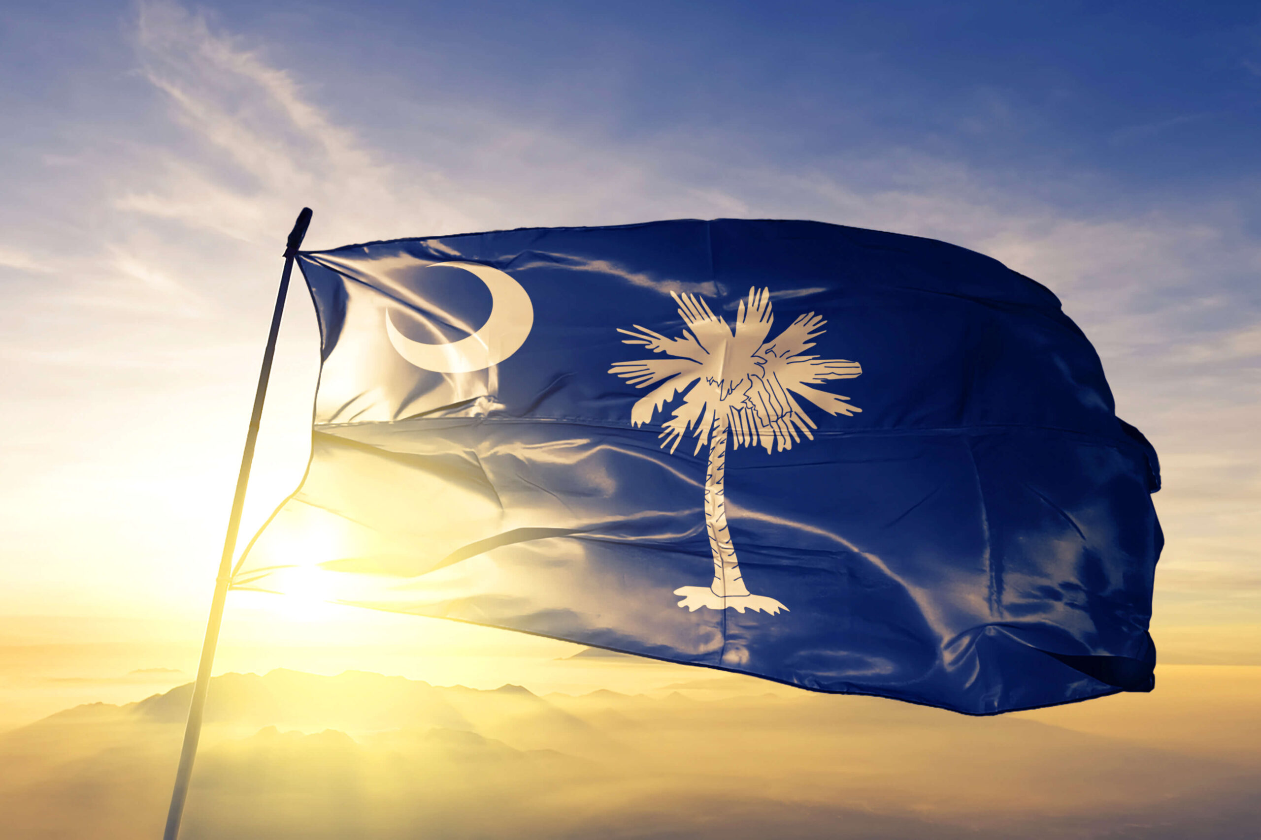 South Carolina state flag